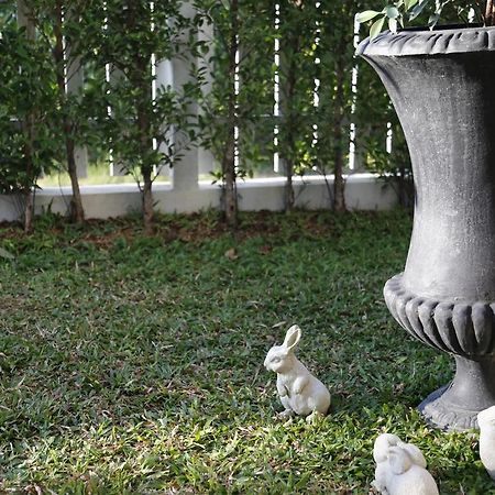 Hotel Mona Chiangmai Boutique Chiang Mai Zewnętrze zdjęcie