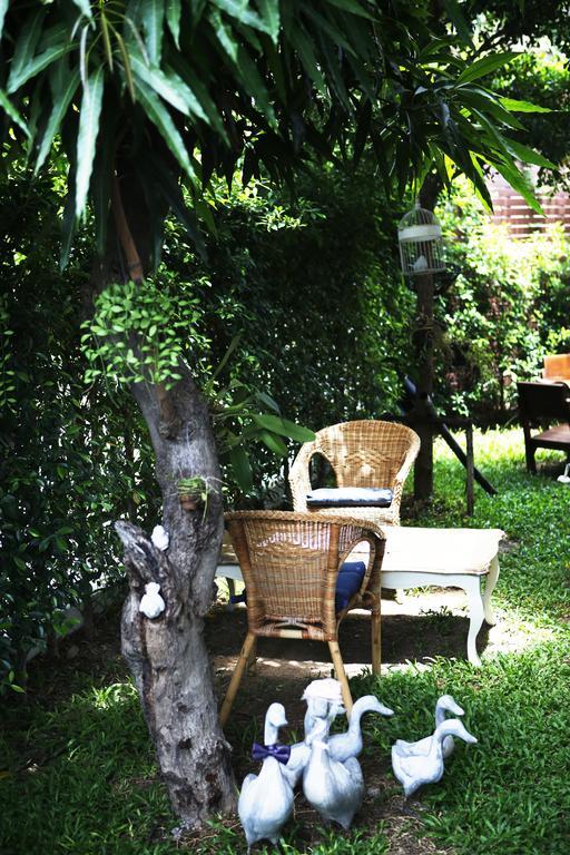 Hotel Mona Chiangmai Boutique Chiang Mai Zewnętrze zdjęcie