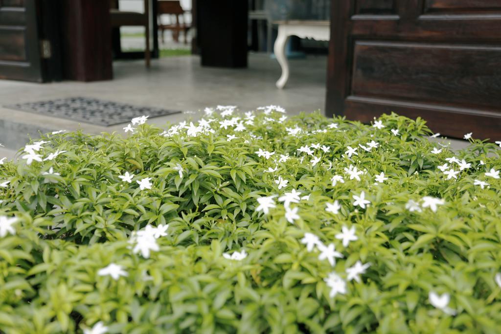 Hotel Mona Chiangmai Boutique Chiang Mai Zewnętrze zdjęcie